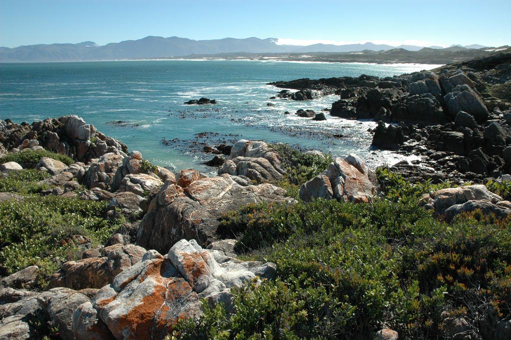 Cliff Lodge Gansbaai Buitenkant foto